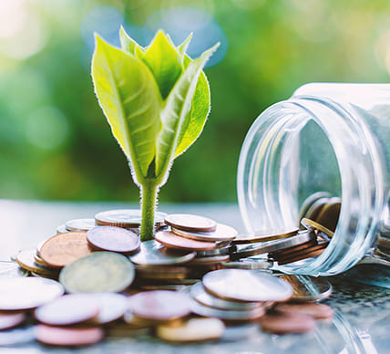 coin jar with plant growing